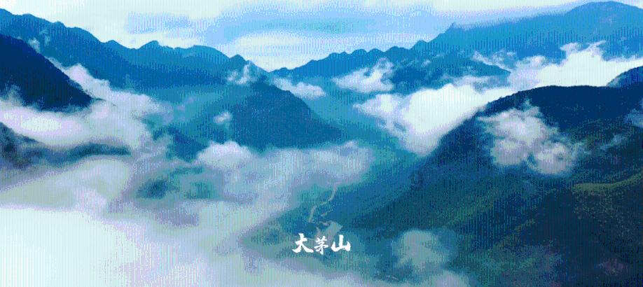 连接字母