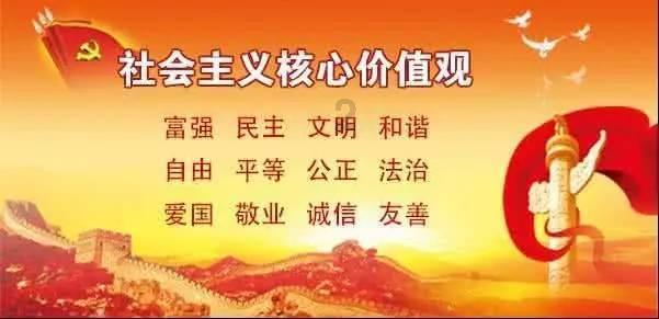 88影视